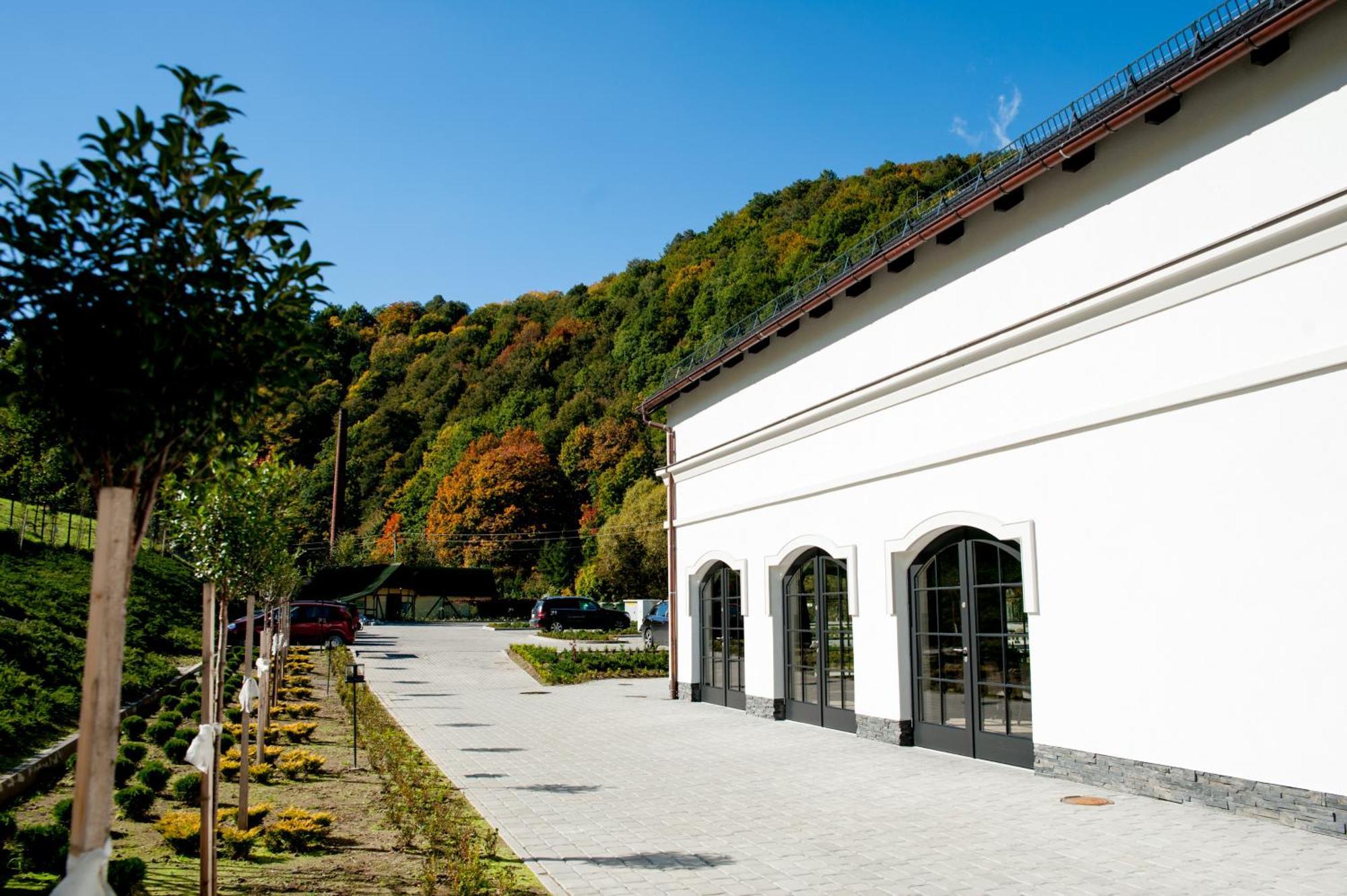 Hotel Palac Jugowice Wałbrzych Extérieur photo